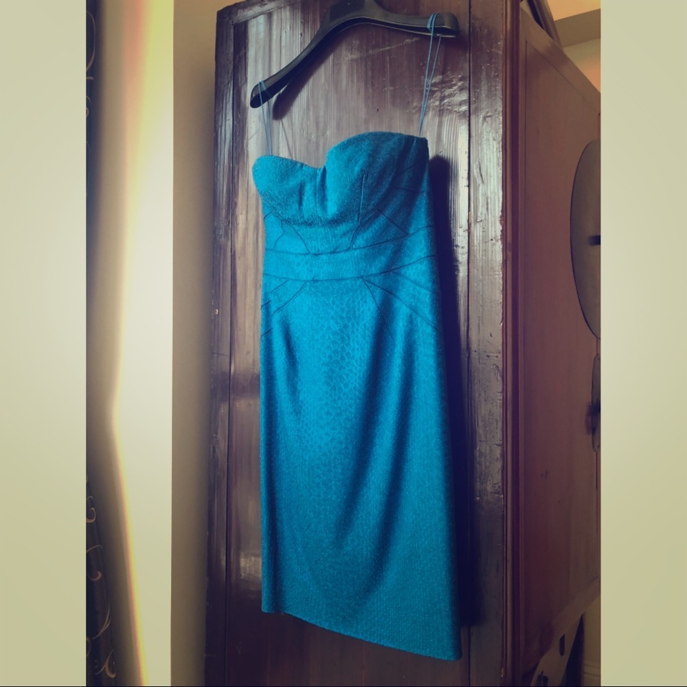 Zac Posen Blue Strapless dress - size 8